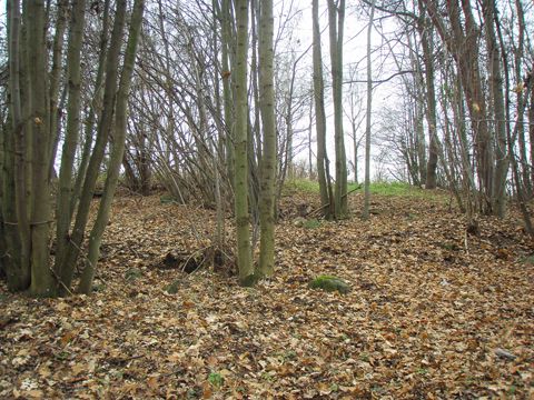 Foto 13